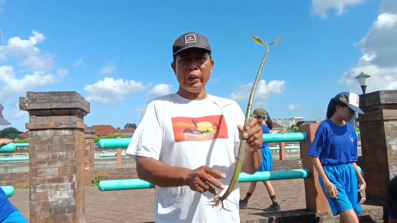 KEGIATAN P5 ONE KUTA CLEAN&GREEN  || MENANAM MANGROVE || KELOMPOK M1🤩🤟 