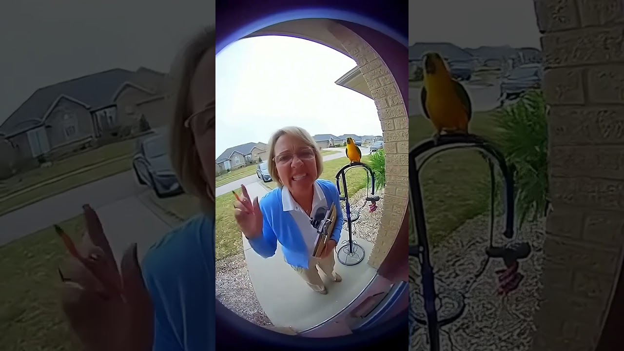 Говорящий попугай издевается над управляющим товарищества собственников жилья! 🦜 