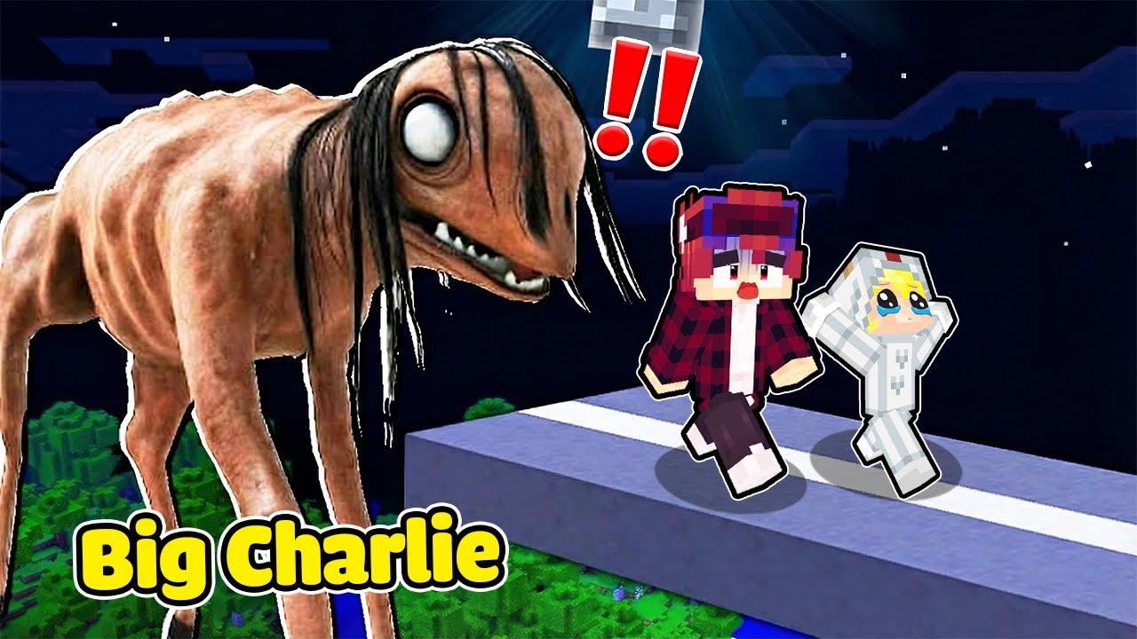 Hachi 24 Giờ Nhận Nuôi Big Charlie Siêu Đáng Sợ