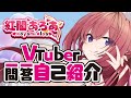【自己紹介】Vtuber一問一答自己紹介【新人?Vtuber紅闇あろあ】