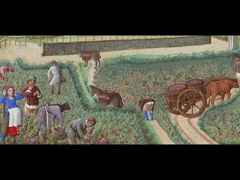 Video: ¿Qué mejoras se realizaron en la agricultura europea durante la Edad Media?