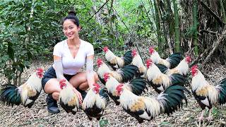 Catching Bantam Chickens and Bamboo Shoots in the Forest with My Dogs & Country Cooking | Rural Life screenshot 5