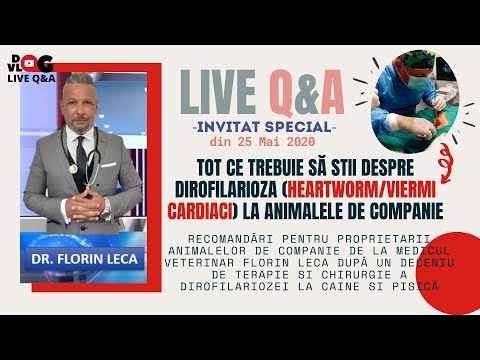 DogVlog LIVE Q&A #2 - DIROFILARIOZA la animale cu Dr Florin Leca(Clinica Doctor&rsquo;s Vet Univers)