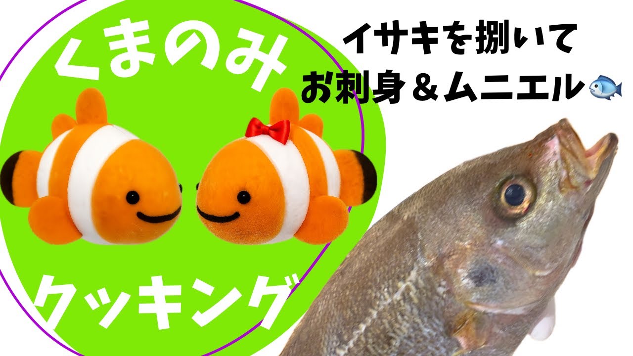 fishさまの専用品です Kumanomi Cooking🐟】Preparing Thryssa Fish🐟 - YouTube
