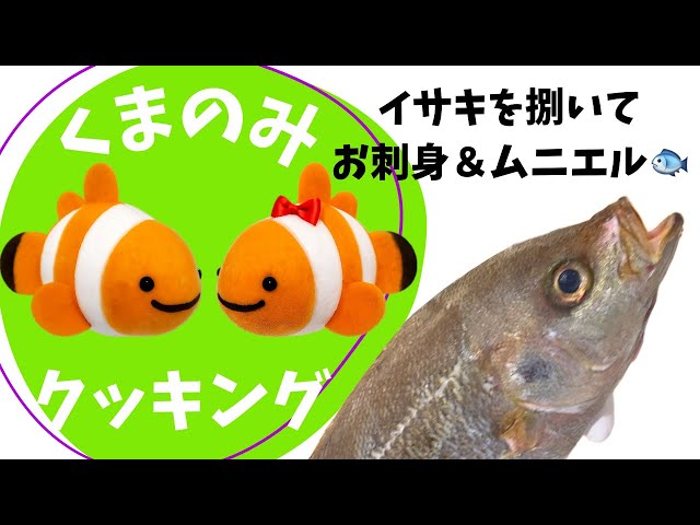 Kumanomi Cooking🐟】Preparing Thryssa Fish🐟 - YouTube