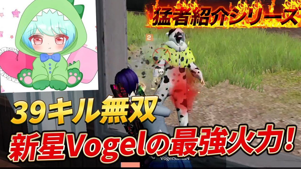【猛者紹介シリーズ】俺が新星Vogelの最強火力！３９キル無双【荒野行動】