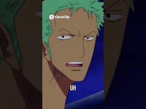 Zoro got stuck in a chimney