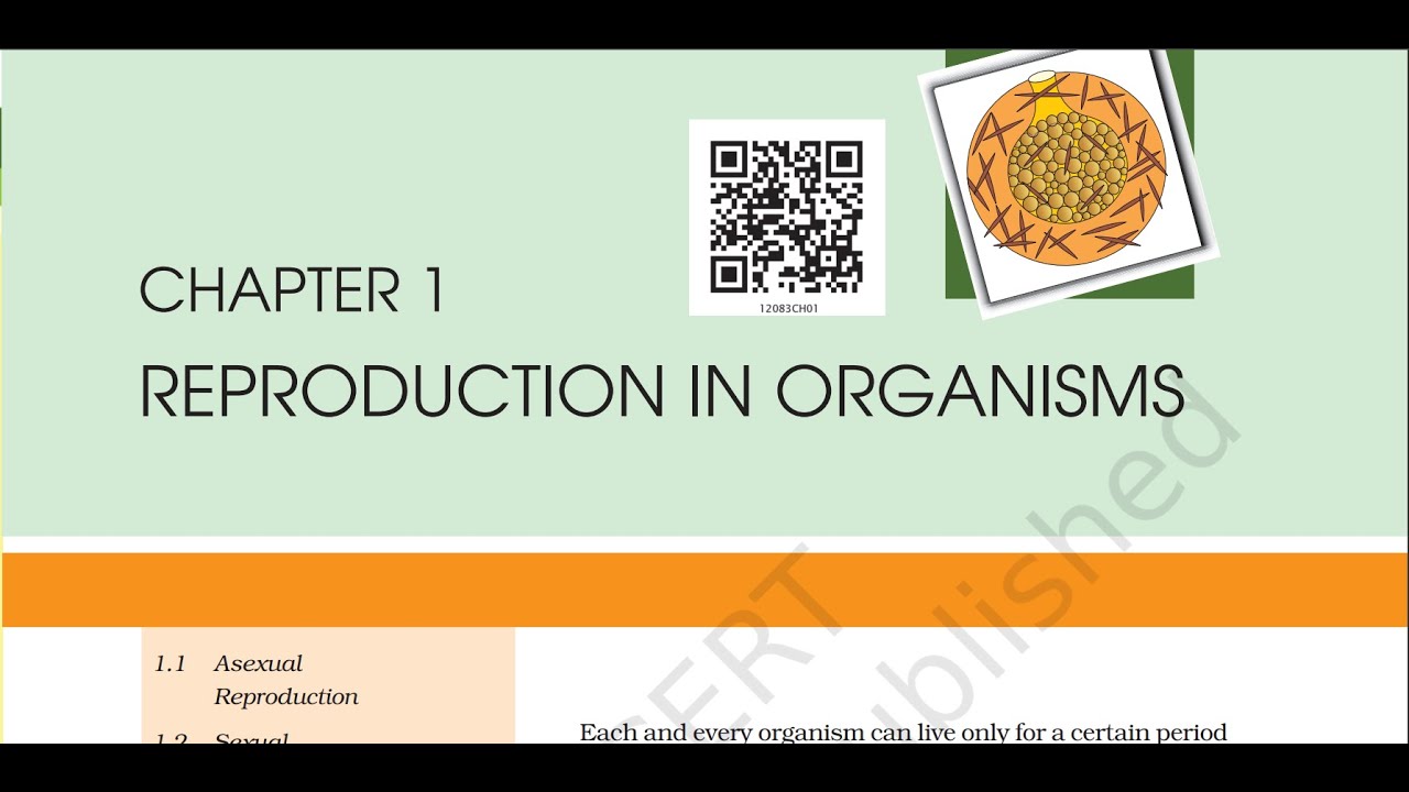 class 12th biology chapter 1: REPRODUCTION IN ORGANISMS-audiobook - YouTube