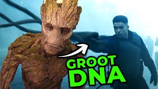 Groot DNA In Secret Invasion Episode 2 Skrull Experiment Explained