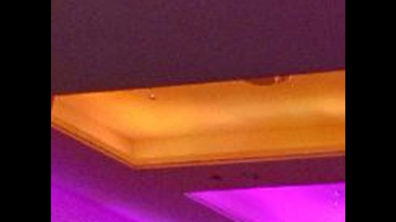 NoneTwo - Pale Bloom