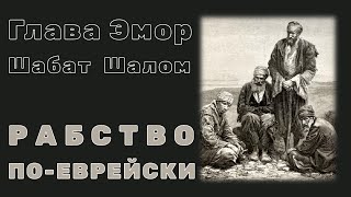 Рабство по-еврейски | Глава Торы | Эмор