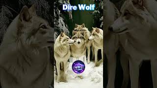 🐺 Dire Wolf | Devta Musik #extremebass #edmfestival #techhouse #subwoofer