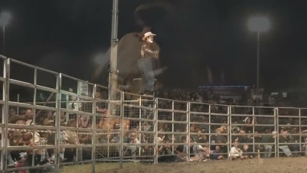 Bull Riders and Bull Fighters 