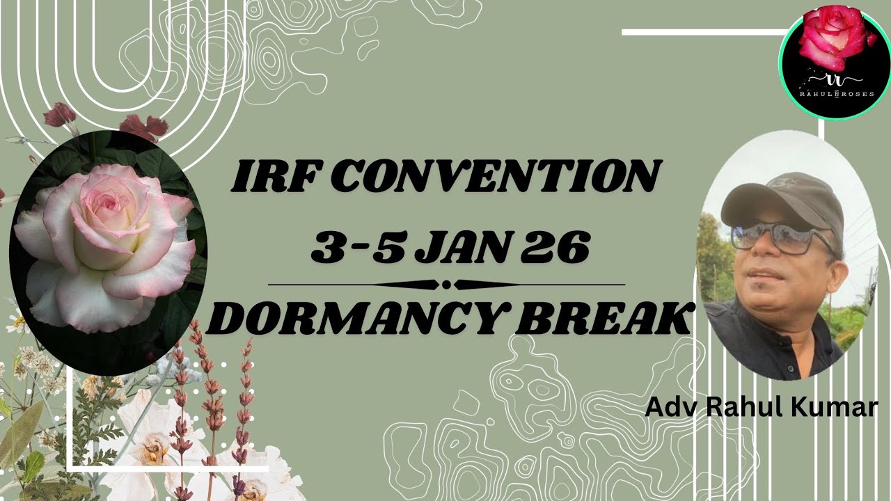 IRF’s Kolkata Convention and Something About Dormancy Break 