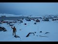 Five weeks in greenland kalaallit nunaat