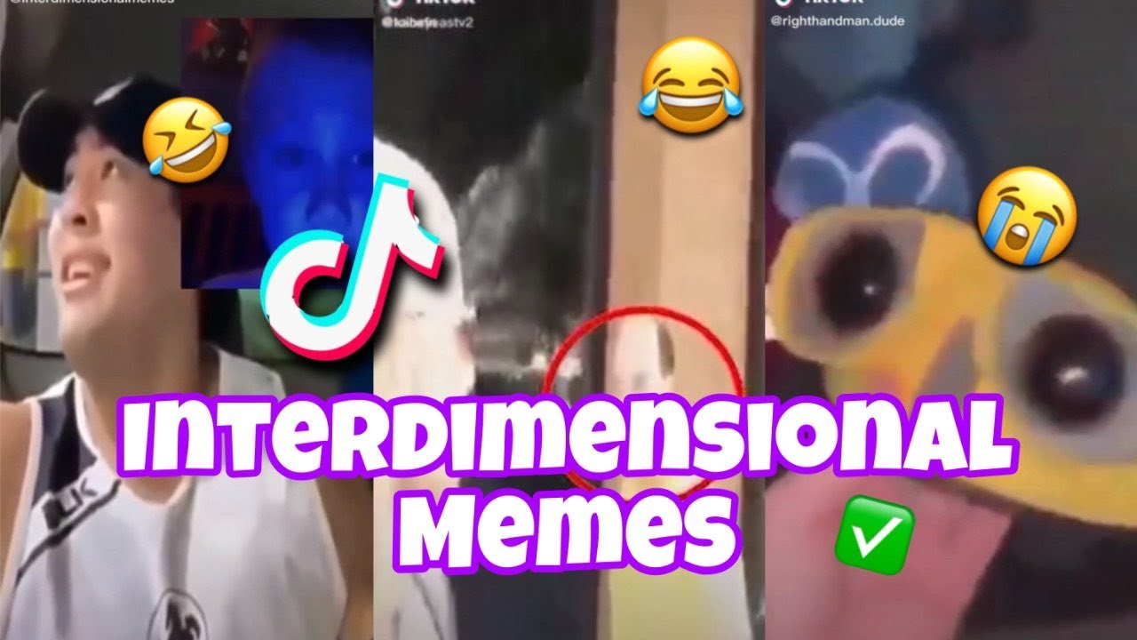 Interdimensional Memes | TikTok Compilation 2021 - YouTube