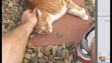 Batch-saving client files with Photoshop Elements