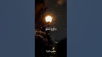 وانذرهم يوم الحسره تلاوه جميله للشيخ محمود البنا من سوره مريم حاله