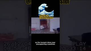 Indian Ocean Tsunami Tragedy #shorts #naturaldisastersurvival #ocean