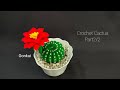 Crochet Cactus Part 2 2 Cactus And Assembly Crochetflower Crochet Crochettutorial 