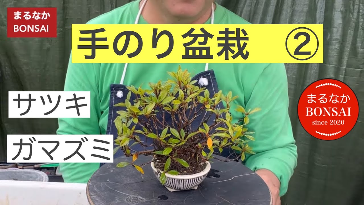 295 ②手のり盆栽、サツキ、ガマズミなど。 ‪@bonsai1007‬ 【ミニ盆栽