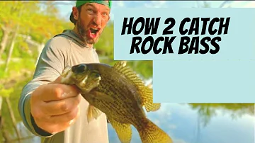 Can you fish with rock bass?