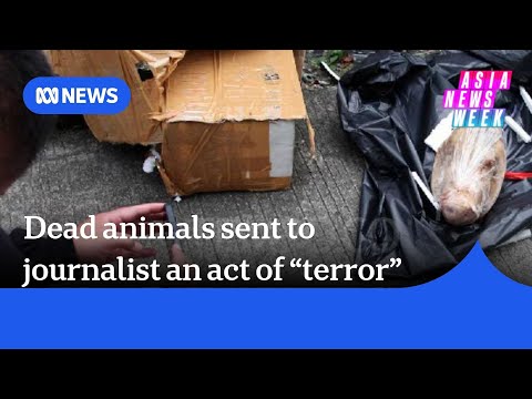 Pig's head, dead rats an act of "terror" against Indonesian journalists | Asia News Week | ABC NEWS Episode cover