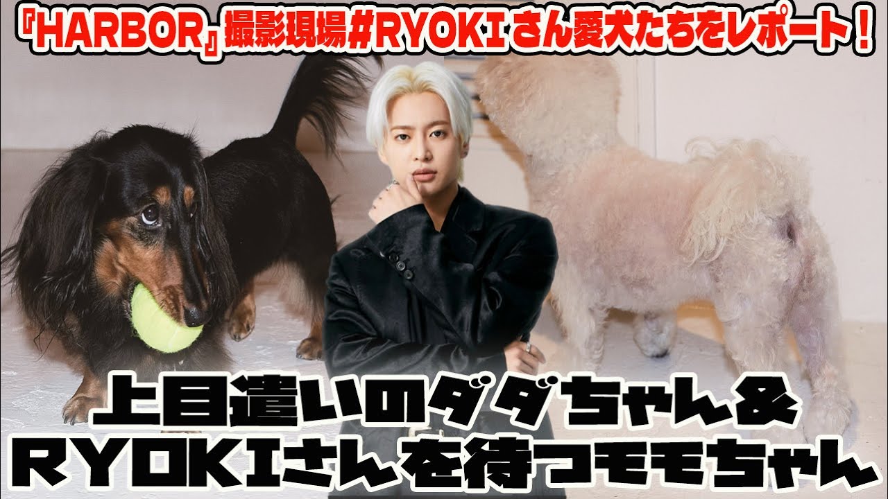 【BE:FIRST】『HARBOR』 撮影現場#RYOKI さん愛犬たちをレポート！上目遣いのダダちゃん&RYOKIさんを待つモモちゃん ...
