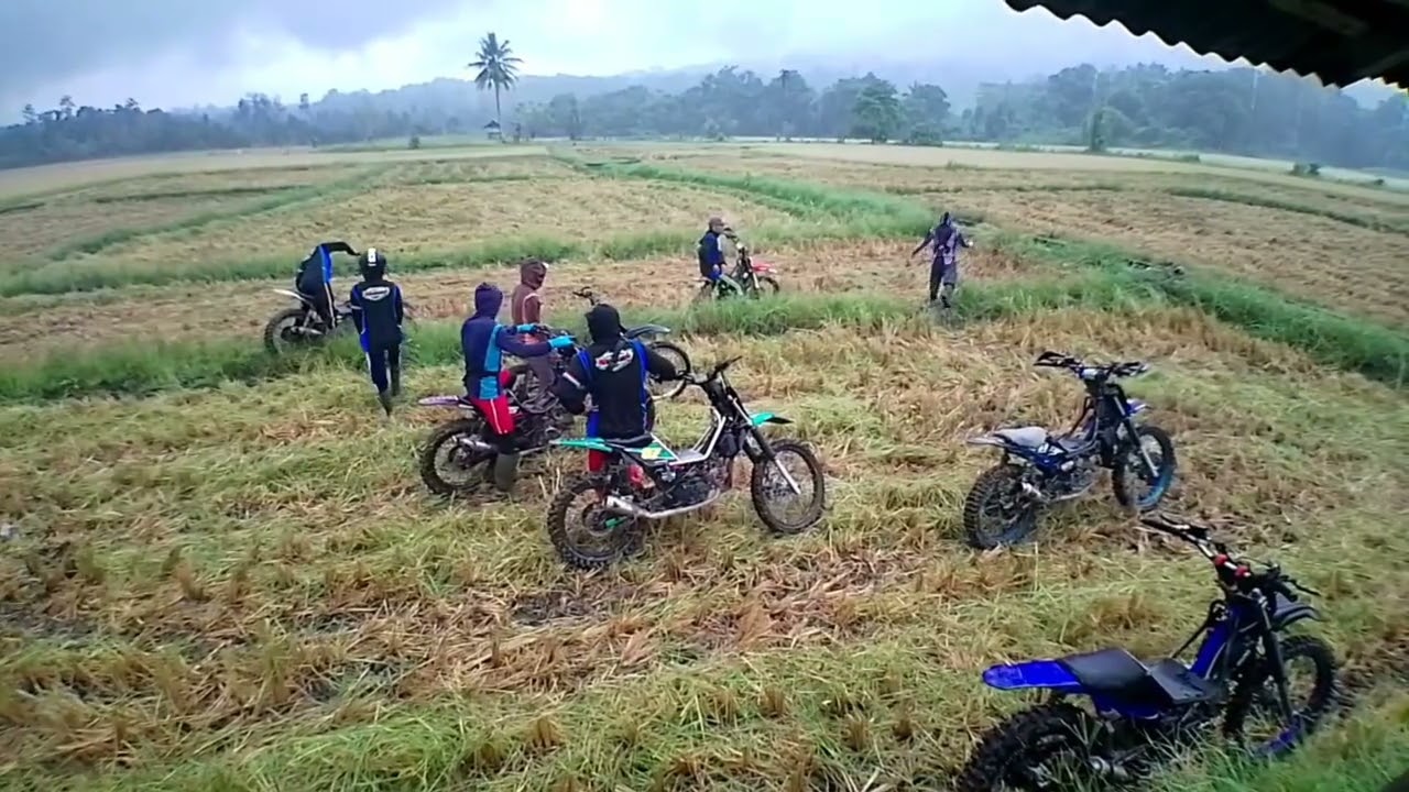 Karna hujan di sore hari joki motor taksi gabah atau padi sangkut di pematang sawah 