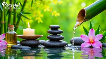 Thumbnail of Healing Music for Anxiety Disorders 🌿 Meditation Music Relax Mind Body, Nature Sound, Bamboo