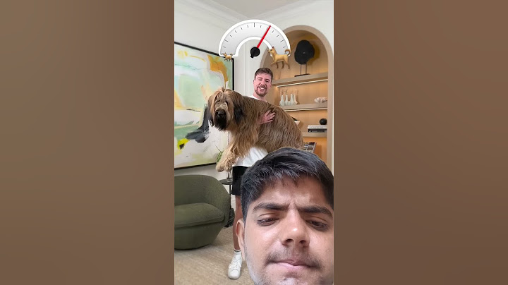Holding bigger and bigger dog 🐶 cutedog #mrbeast #trend