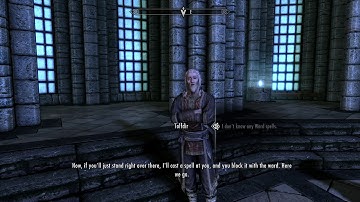Skyrim Special Edition - First Lessons: Listen To Tolfdir Chat In Hall Of Elements (Use Lesser Ward)