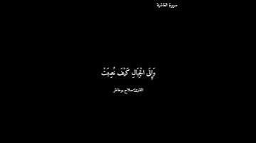 سورة الغاشية/صلاح بوخاطر