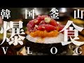 【韓国🇰🇷釜山爆食Vlog】実はソウルよりオススメ!?釜山食べ歩き旅