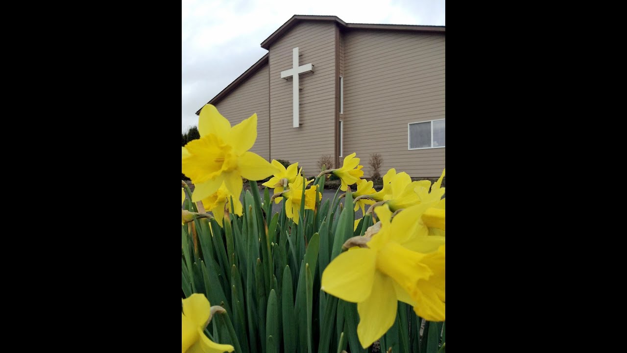 Immanuel's Reformed Church - "Path light for 2022" - 1/2/22