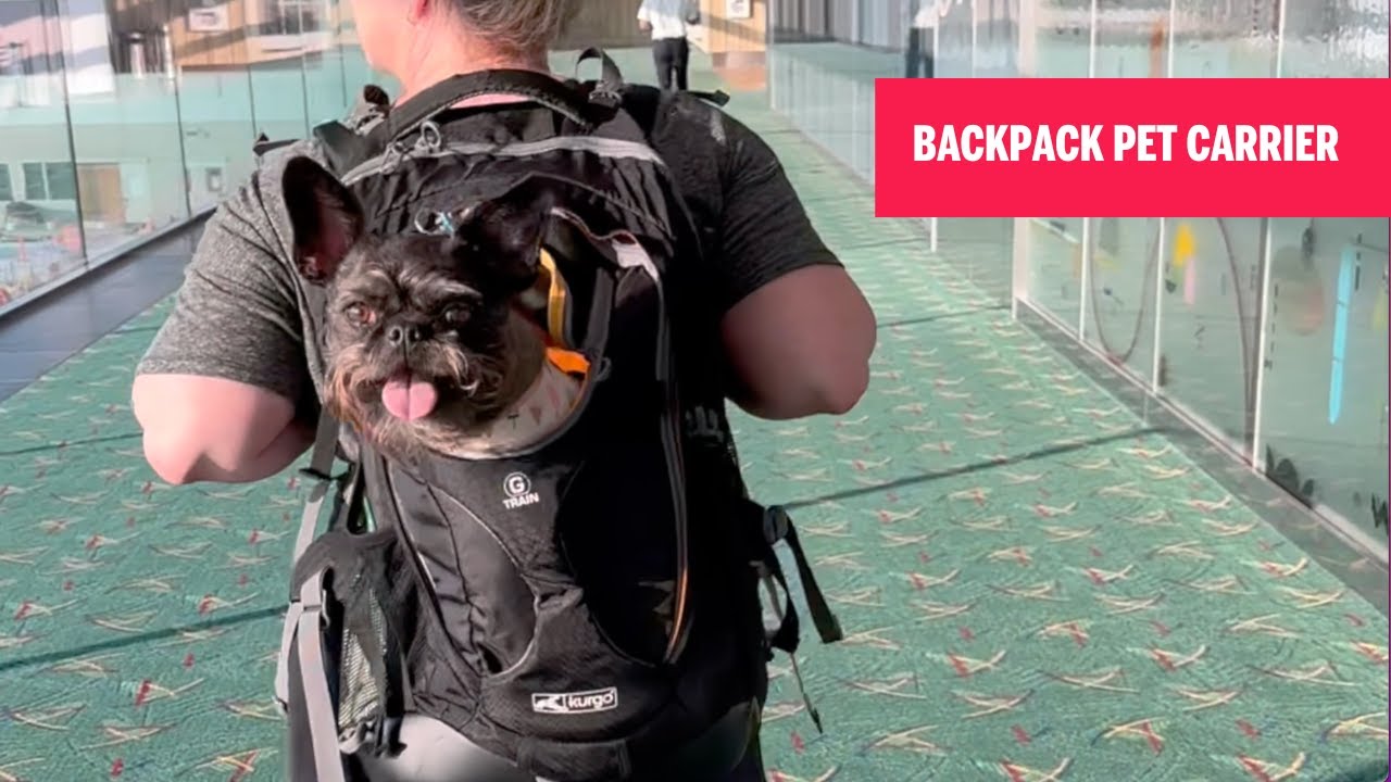 Kurgo G-Train Backpack Review