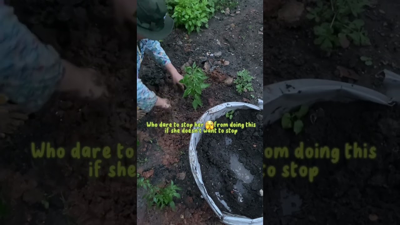 Countryside Life Part2 | we plant some vegetables instead of buying