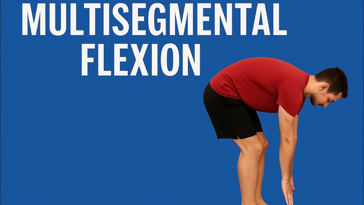 [한국어 번역] SFMA Insights With Dr Kyle Kiesel Multi Segmental Flexion ...
