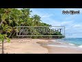 Progressive house sirprice  beach buggy ride  royalty free music