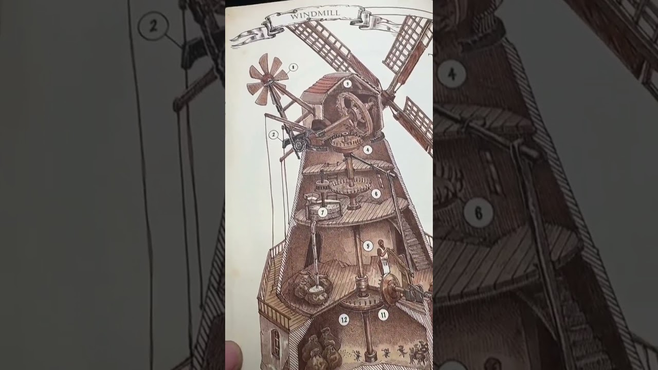 📚✨ Just came across "The Book: The Ultimate Guide to Rebuilding a Civilization"! This hardcover gem