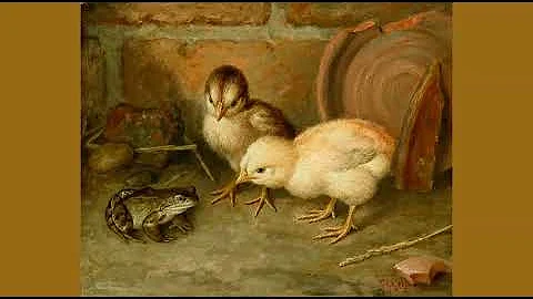 Chicken (Maceo Parker & Pee Wee Ellis) [Frank Paton]