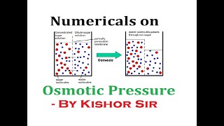 SOLUTION & COLLIGATIVE PROPERTY || SESSION - 21 : Numericals On Osmotic Pressure. Wealth