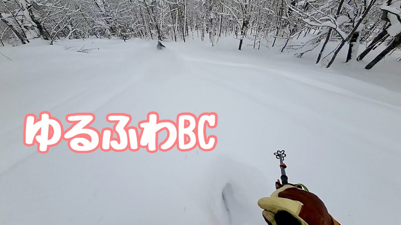 ゆるふわBCガイドツアーでパウダースキー バックカントリー 山スキー