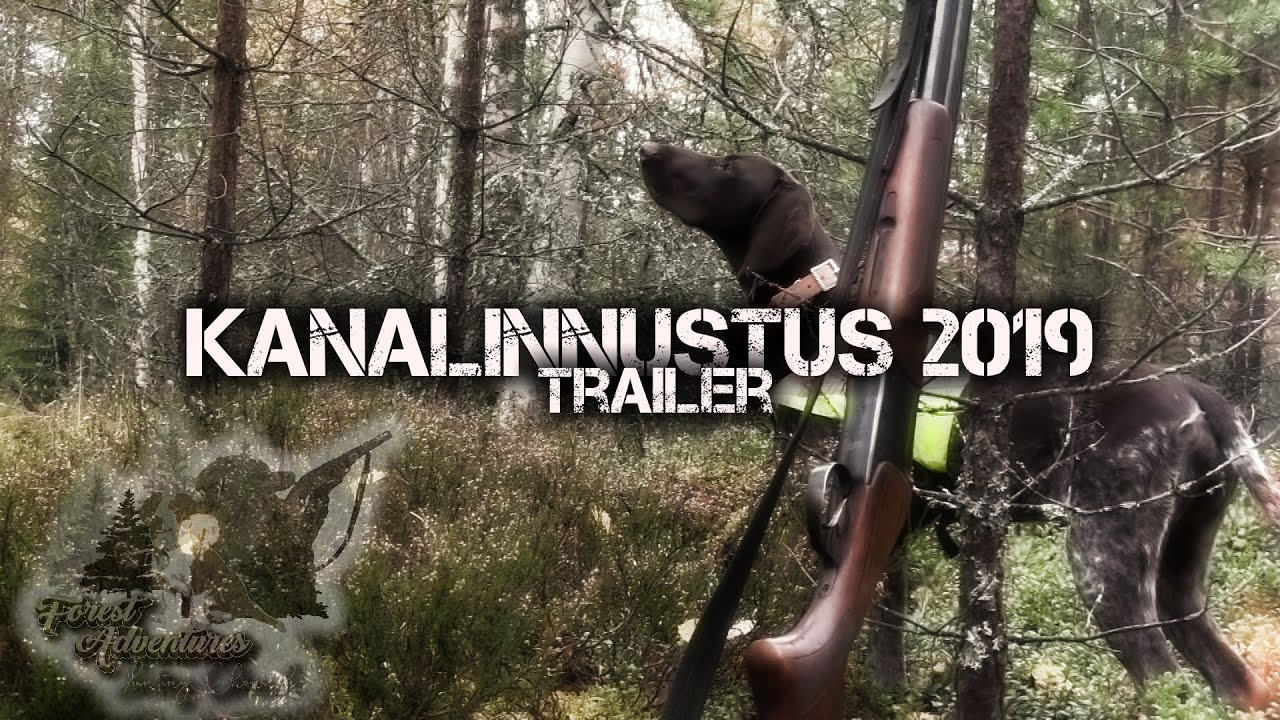 FA 2019: Kanalinnustus | Trailer