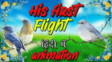 two stories about flying class 10 | his first flight class 10 | animation | in Hindi