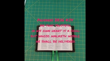 Behind the Leather: The Secret Stiffener in This Bible Rebind