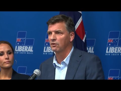 ‘We are back’: Angus Taylor ‘guarantees’ the Coalition will be effective under his leadership