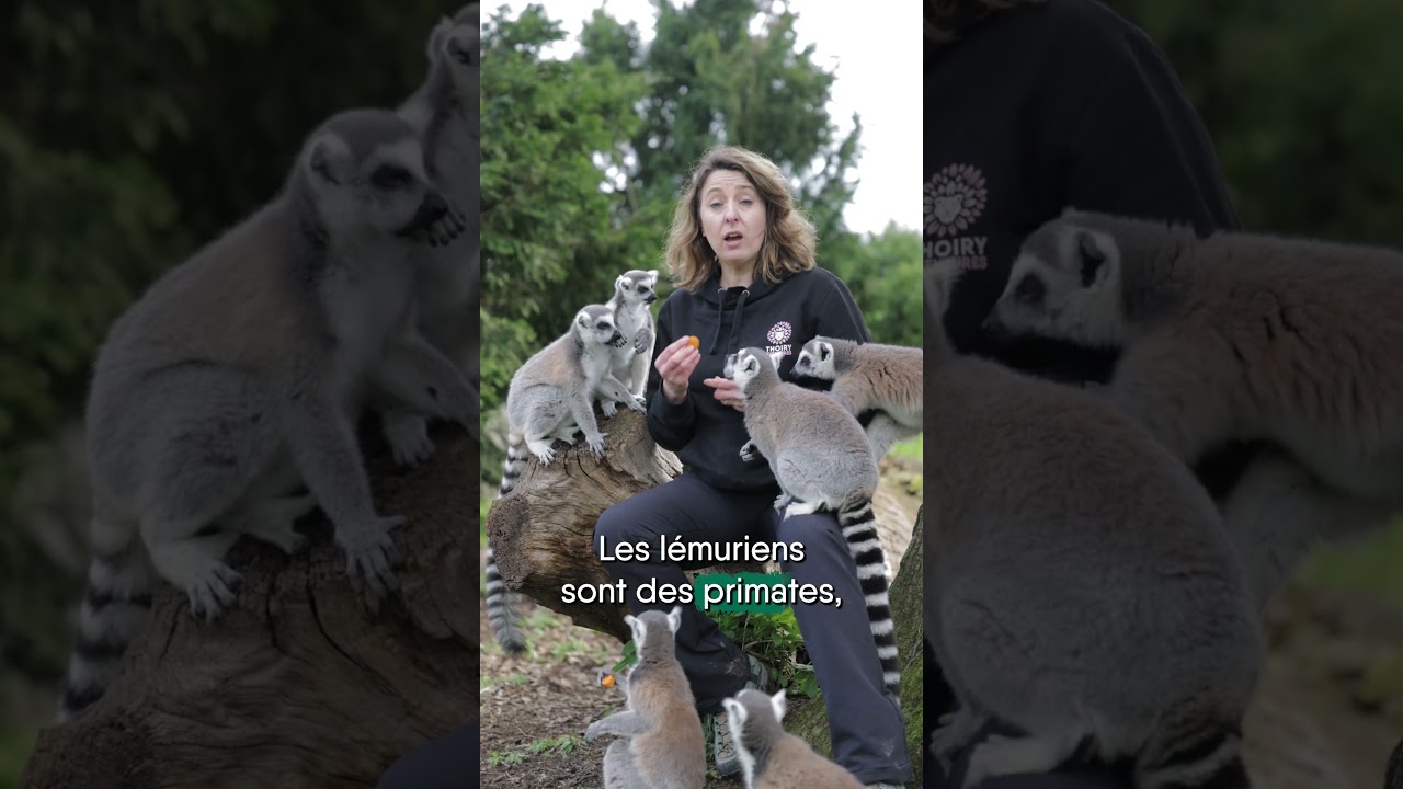 [THOIRY MERVEILLES SAUVAGES 🐾]