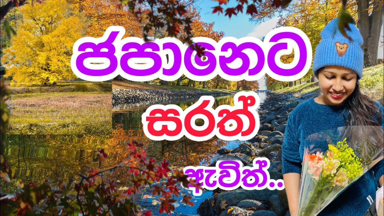 කලින් දැකලම නෑ.. පුදුමයී. 🍁🍂 Vlogs in sinhala | Travel in Japan 