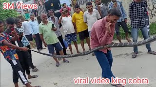 Viralvideo# King of snakes of the whole world Biggest snake king of my life#world famous King Cobra